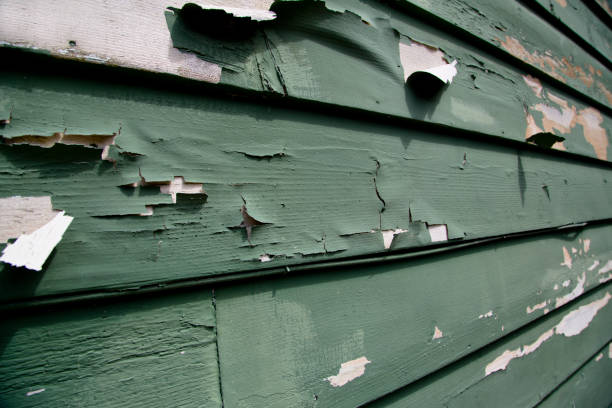 Best Fascia and Soffit Installation  in Paulina, LA