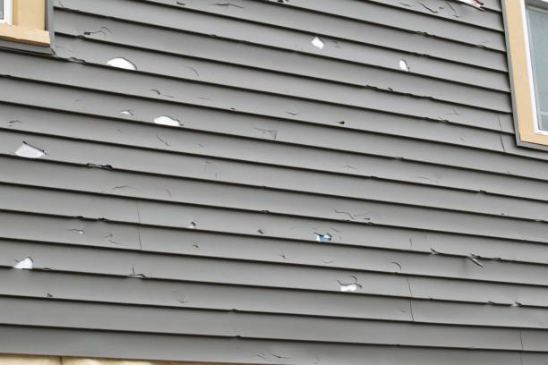 Best Wood Siding Installation  in Paulina, LA