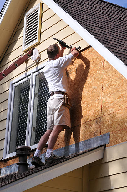 Best Stone Veneer Siding  in Paulina, LA